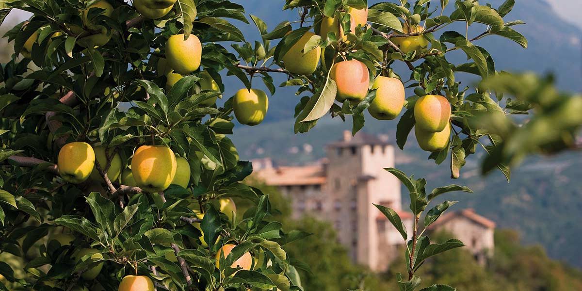 Torna Pomaria, la festa delle mele della Val di Non